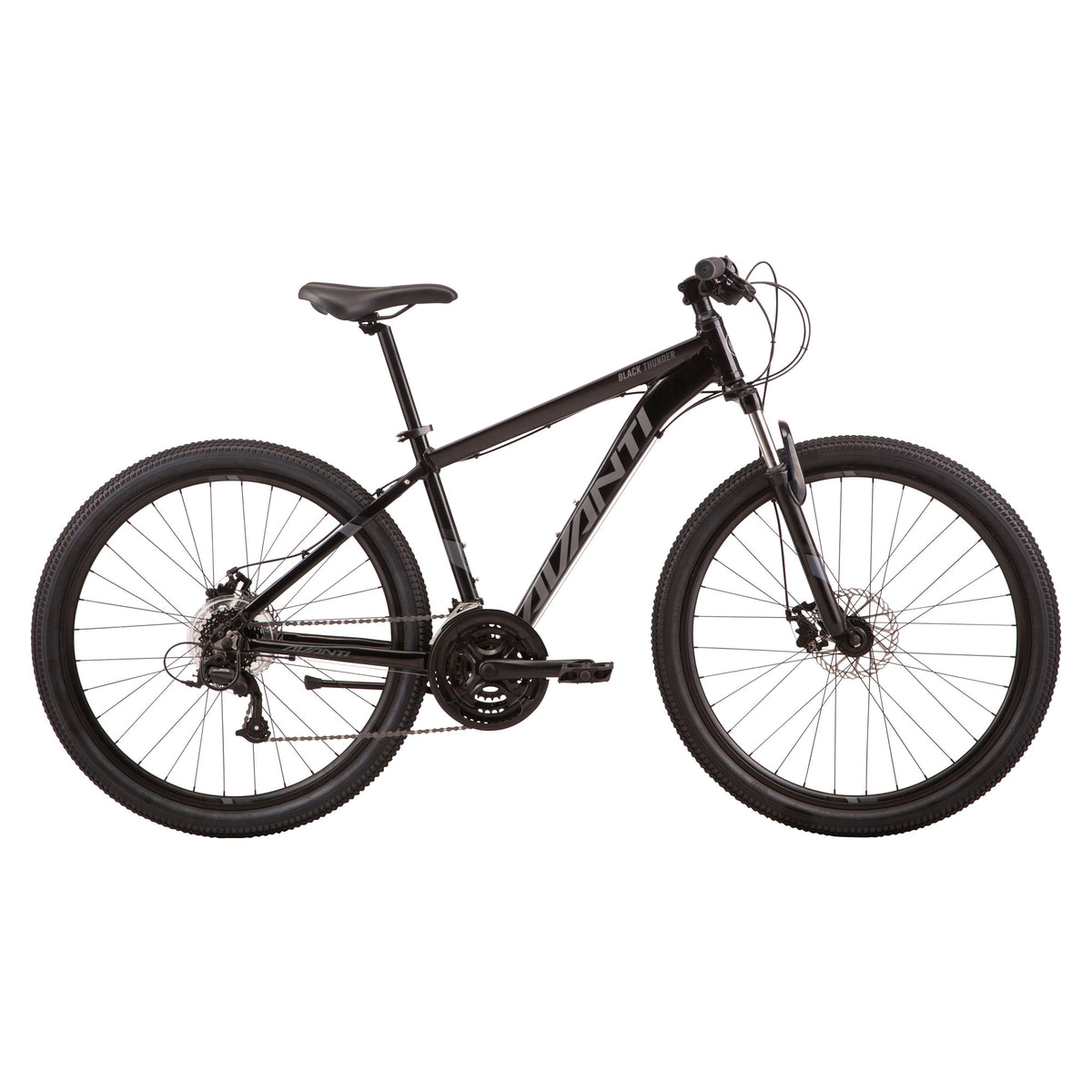 Avanti mountain bike on sale