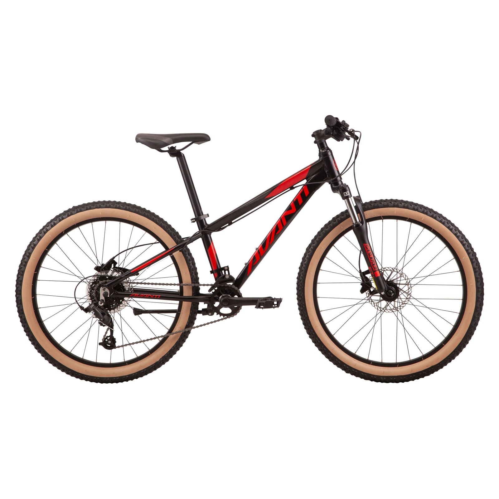 Avanti 24 inch bike online