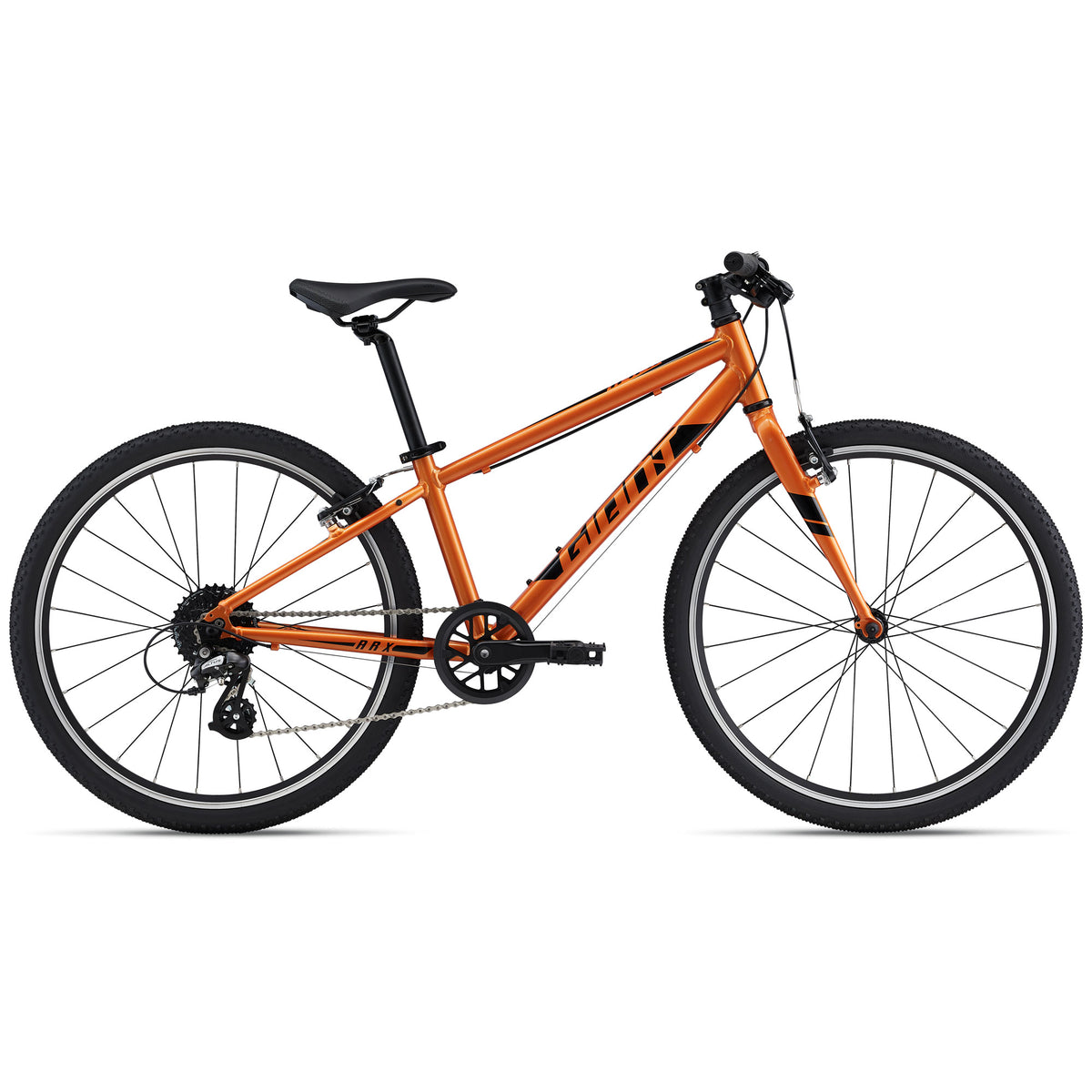 Giant 24 speed mountain bike sale