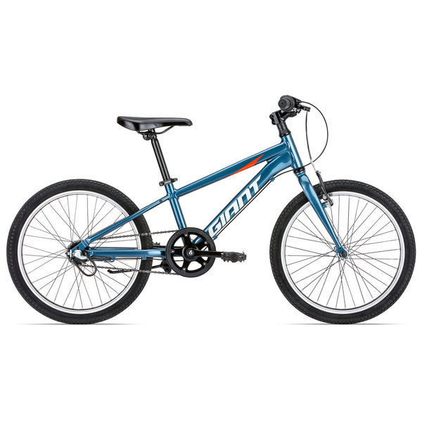 Giant 20 store inch kids bike